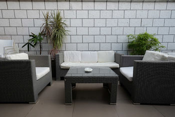 Terrace or Patio